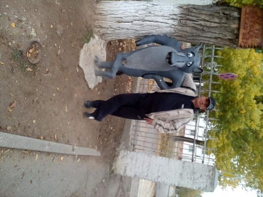   ,   , 54 ,   ,   , c 