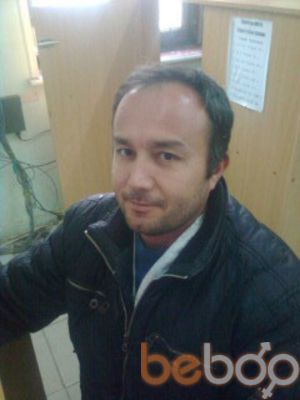  ,   , 41 ,   