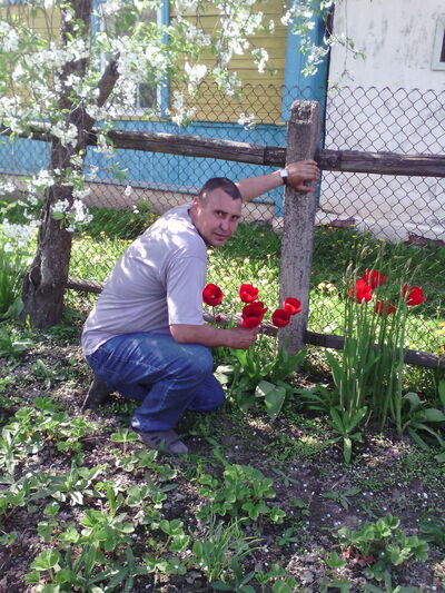  ,   , 52 ,  