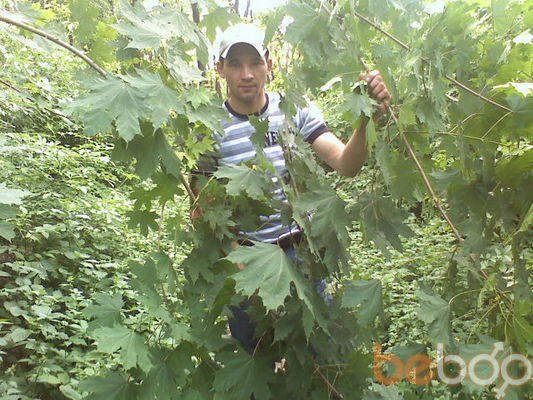  ,   Vil, 39 ,  