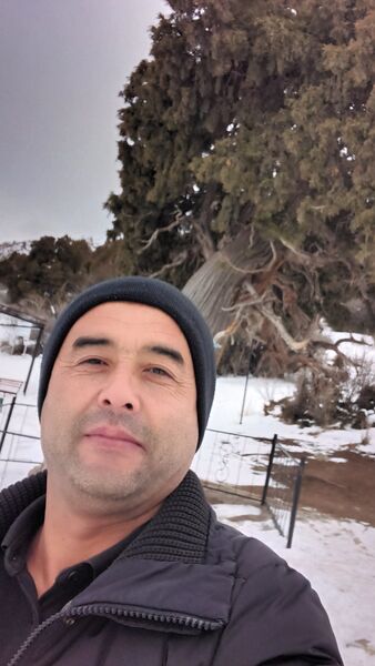  ,   , 44 ,   ,   , c , 