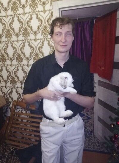 ���������� �������, ���� ������� ����, 36 ���, ������������ ��� ������, ����� � ���������