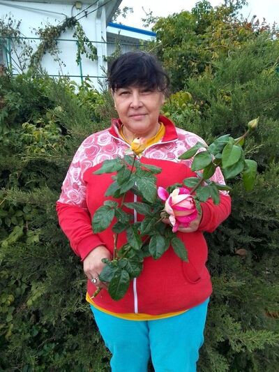  ,   , 53 ,   c , 