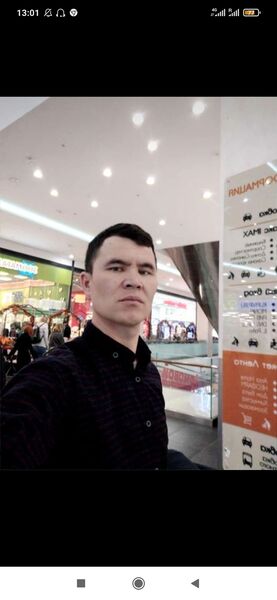  -,   , 41 ,   ,   