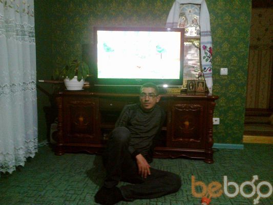  ,   Kot, 46 ,   