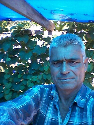  ,   Amin, 63 ,   c 