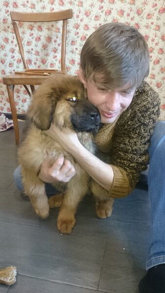  ,   , 41 ,   ,   , c 