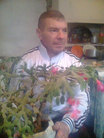  ,   Radu, 49 ,   ,   , c 