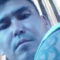  13959975  , 40 ,    
