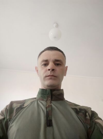  ,   FAYST, 36 ,     , c 