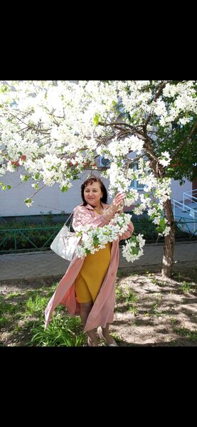  ,   , 52 ,   ,   