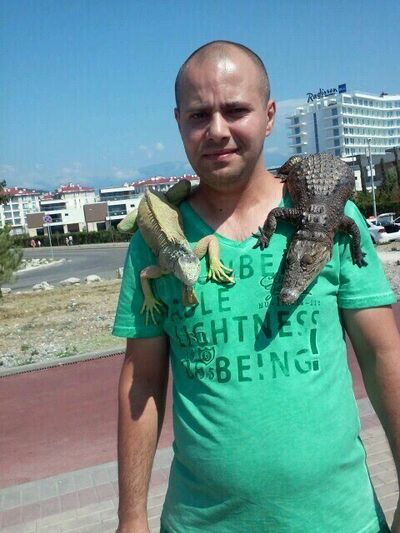  ,   , 44 ,   c 