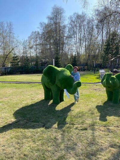  -,   , 54 ,   ,   , c 