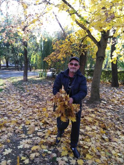  ,   , 55 ,   c 