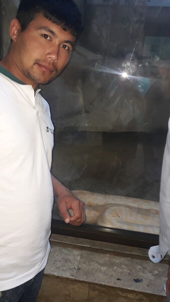  ,   Jamik, 35 ,   