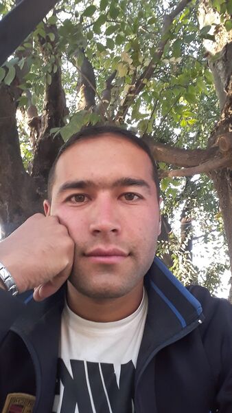  ,   Black Wolf, 34 ,     , c , 