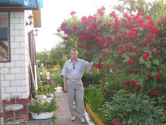  ,   , 65 ,   ,   