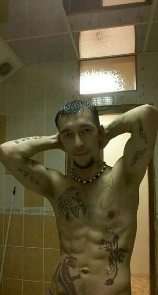  -,   , 41 ,   