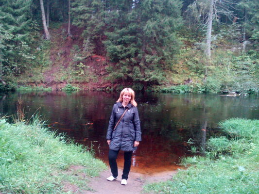  -,   , 53 ,   ,   , c 