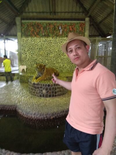  -,   , 41 ,   ,   , 
