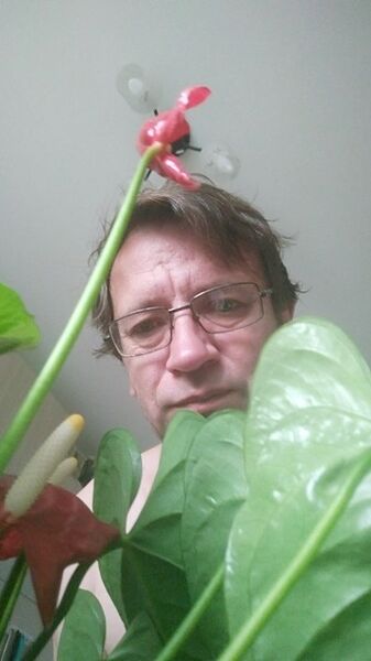  ,   , 53 ,   