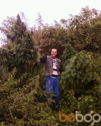  ,   Maxvel, 37 ,  