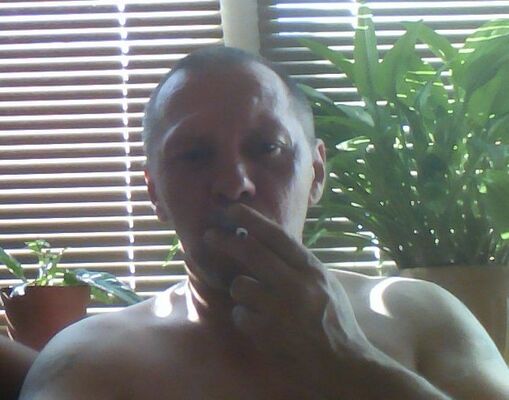  -,   , 53 ,   