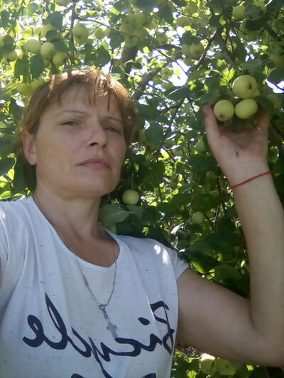  ,   , 44 ,  
