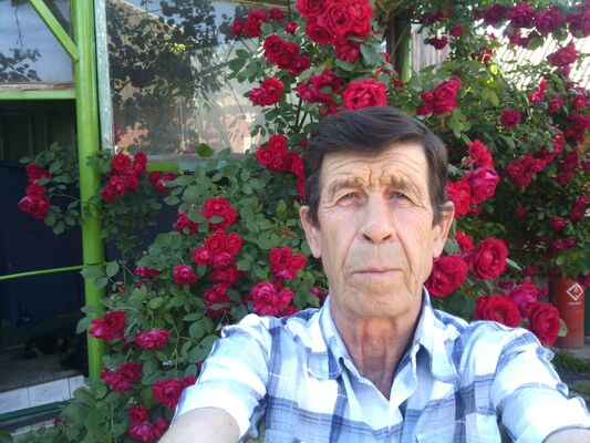  ,   , 66 ,   