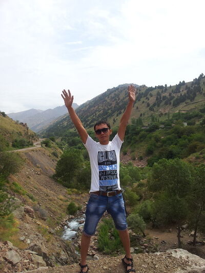  ,   Ali, 41 ,     , c 