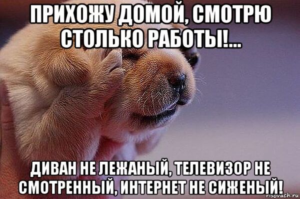  -,   , 50 ,   ,   