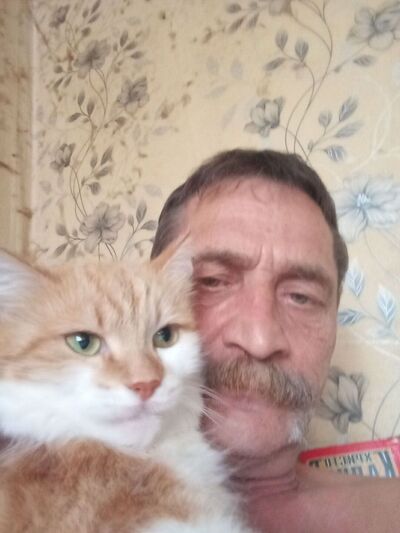 --,   , 52 ,   ,   