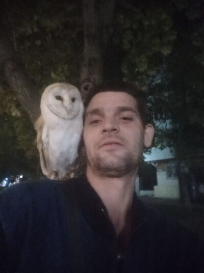 --,   , 37 ,   ,   