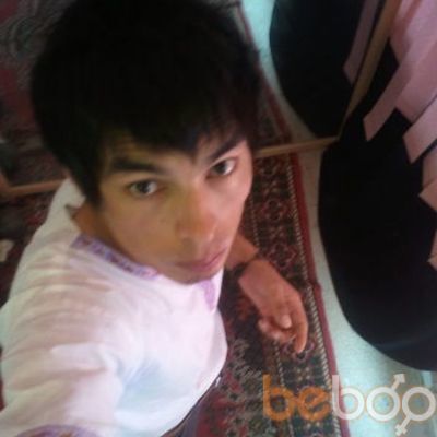  ,   B O B O, 34 ,   , 