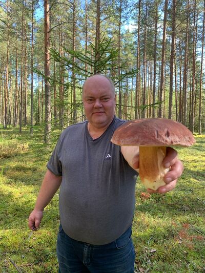 -,   , 49 ,     , c 