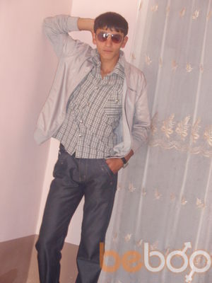  ,   HOVO, 33 ,   