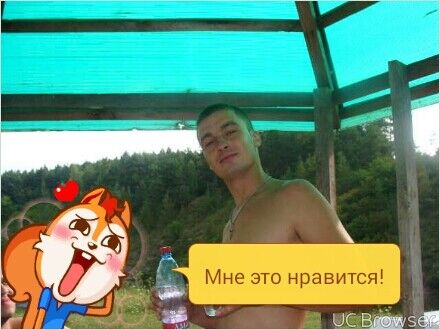  -,   , 36 ,   