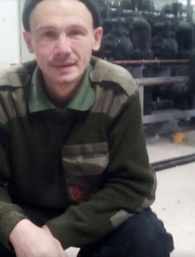  -,   Wolf, 41 ,   ,   , c 