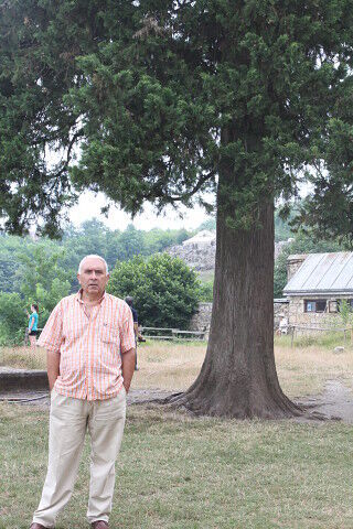  ,   Temuri, 65 ,   ,   , c 