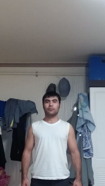  ,   Sardor, 43 ,   ,   , c , 