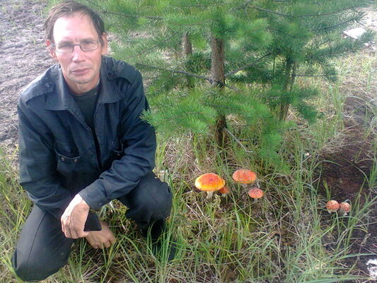  ,   , 59 ,   ,   