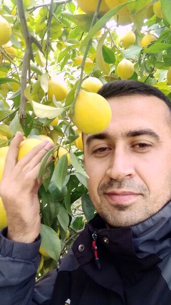  ,   , 36 ,   ,   , c , 