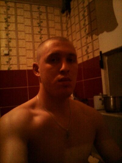  ,   Vitek, 34 ,     , c 