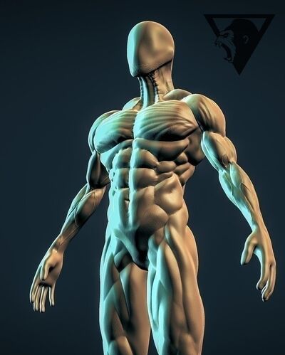  --,   , 32 ,   