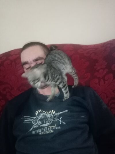  ,   , 40 ,   ,   
