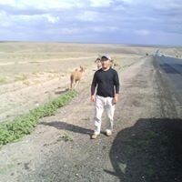  -,   Kairolla, 50 ,   ,   , c 