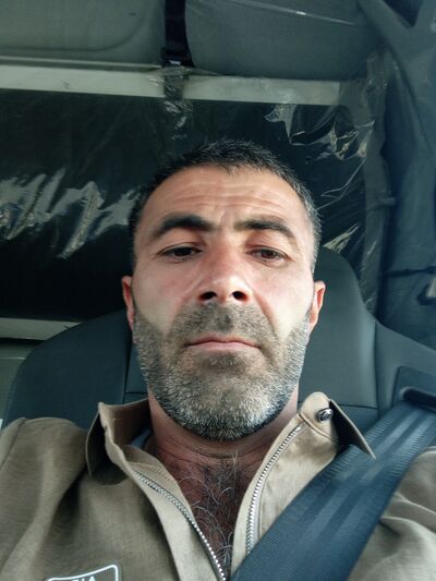  ,   Elman, 41 ,   ,   