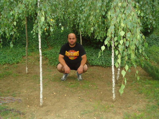  ,   Edovolllk, 40 ,   