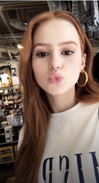  ,   , 28 ,  