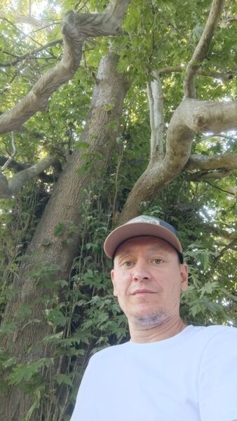  ,   , 44 ,   ,   